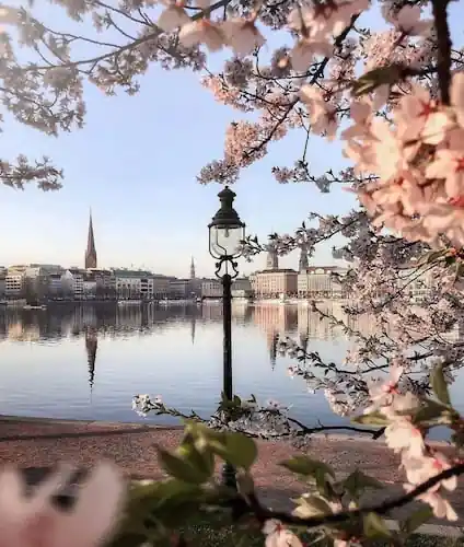 Hamburg Vormittags-Stimmung 2024