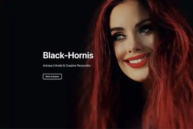 Black Hornis Projekt Vorschau