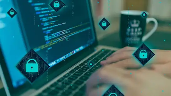 Website-Optimierung, Bildpflege und technische Verbesserungen